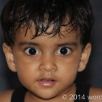 IMG_0778.jpg