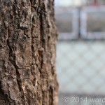 IMG_0603.jpg