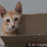 IMG_0757.jpg