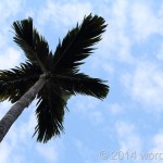IMG_1141.jpg