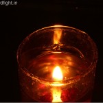 IMG_2271jpg_thumb.jpg