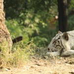 HyderabadTrip101.jpg