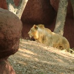 HyderabadTrip104.jpg