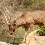 HyderabadTrip107.jpg