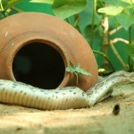 HyderabadTrip113.jpg