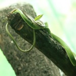 HyderabadTrip114.jpg