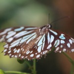 HyderabadTrip520.jpg