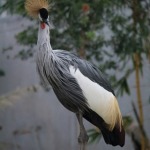 HyderabadTrip527.jpg
