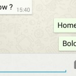 The Tiny Blue Double Tick