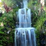 Photography : May 2015